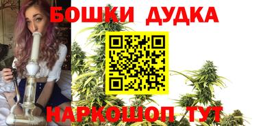 сатива Краснодар