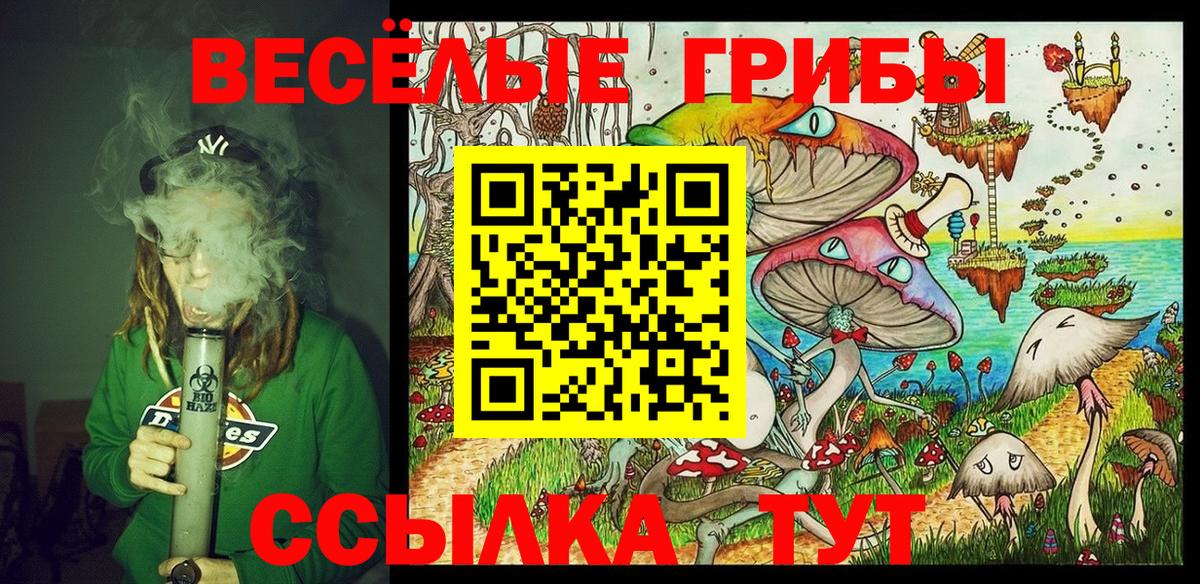 Галлюциногенные грибы мицелий Заводоуковск